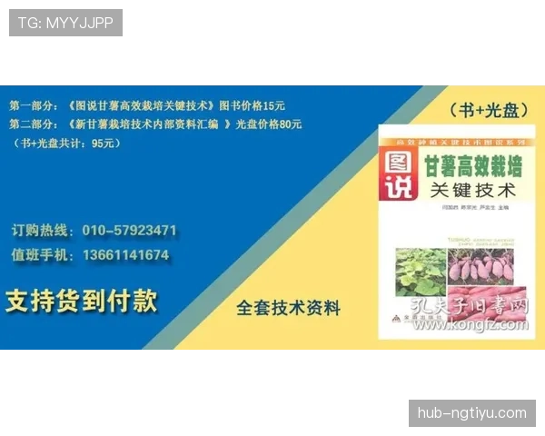 巴西出局原因解析:挪威高效反击成为关键 巴西出局原因解析:挪威高效反击成为关键