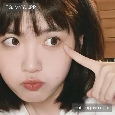 董治鹤